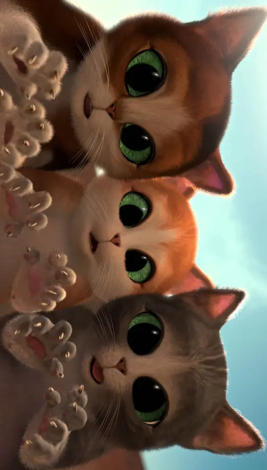 Adorable Kitten Stack - Cats Wallpaper