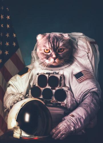 Astronaut Cat in Space - Related Dark Wallpapers wallpaper