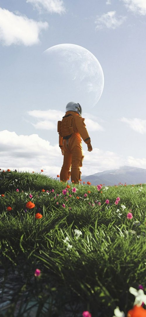 Astronaut in Flower Field - Dope Wallpapers Wallpaper