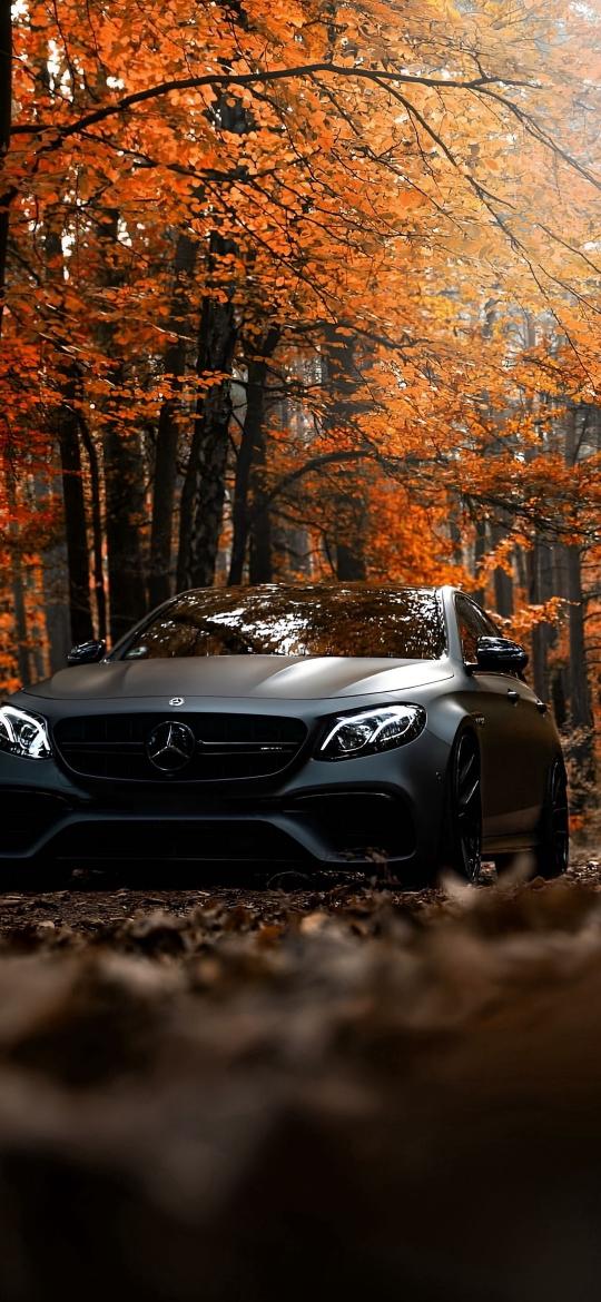 Autumn Mercedes Benz - Related 4K Wallpapers wallpaper