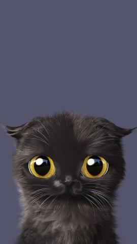 Big-Eyed Black Kitten - Related Dope Wallpapers wallpaper