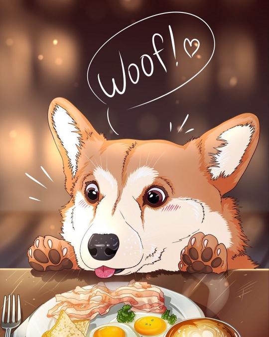 Breakfast Begging Corgi - Related Dope Wallpapers wallpaper