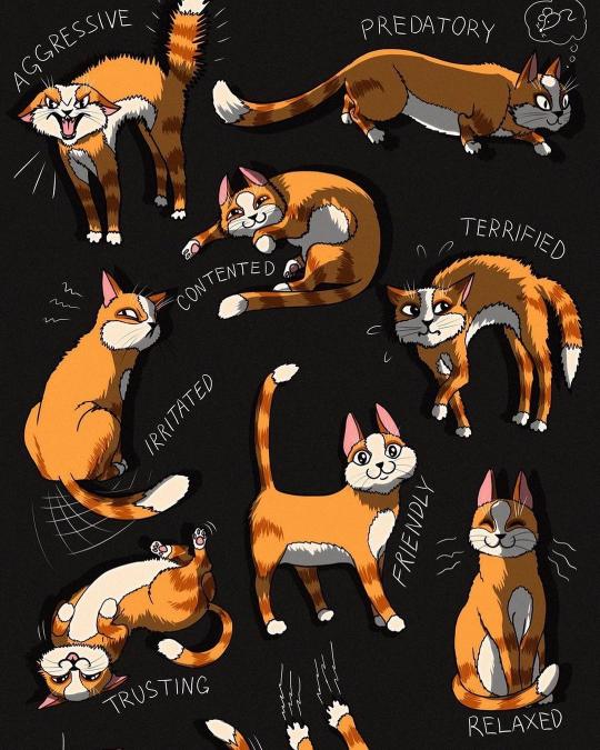Cat Mood Chart