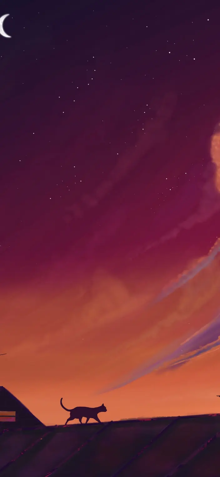Cat on Rooftop Sunset - Cat Wallpaper