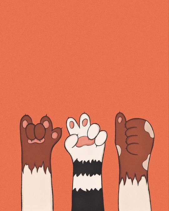Cat Paw Gestures
