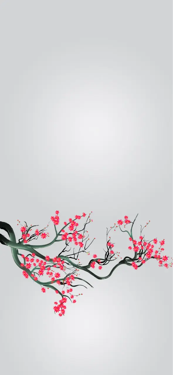 Cherry Blossom Branch