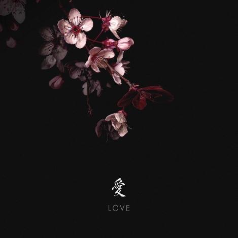Cherry Blossom Love - Related 4K Wallpapers wallpaper