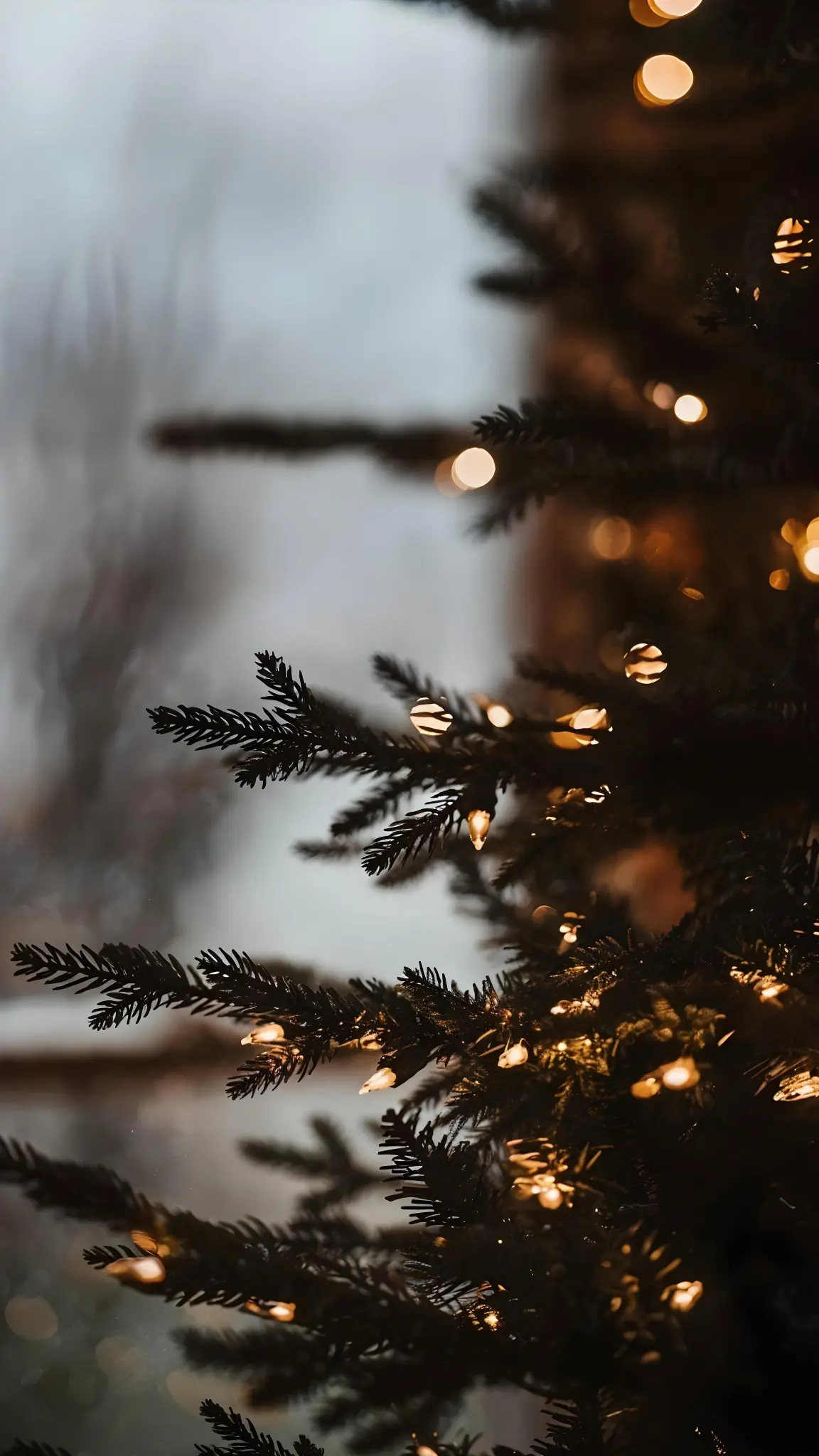 Christmas Tree Bokeh Lights