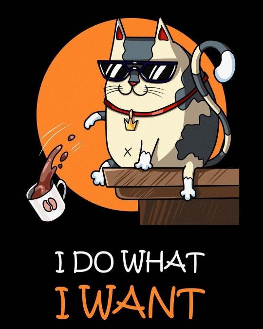 Cool Cat Attitude - Related 4K Wallpapers wallpaper