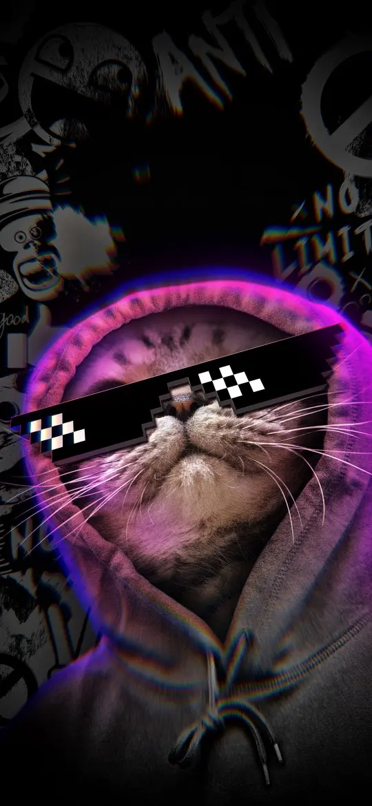 Cool Cat Vibes
