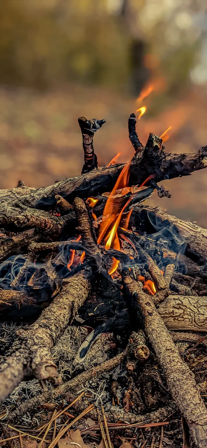 Crackling Campfire Flames - Related Dope Wallpapers wallpaper