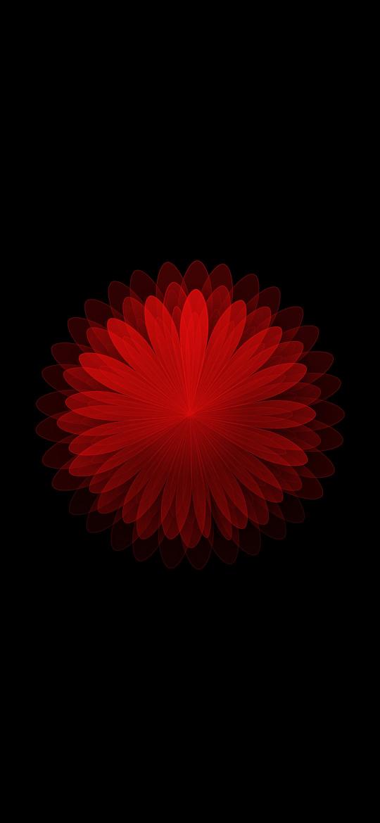 Crimson Bloom on Black