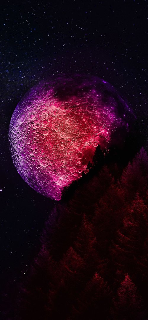 Crimson Moon Forest - Related Dope Wallpapers wallpaper