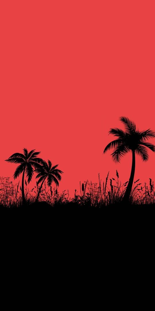 Crimson Palm Silhouette - Related 4K Wallpapers wallpaper