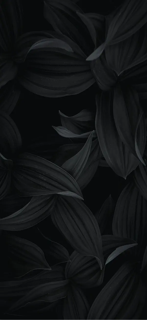 Dark Botanical Leaves - Related Dark Wallpapers wallpaper