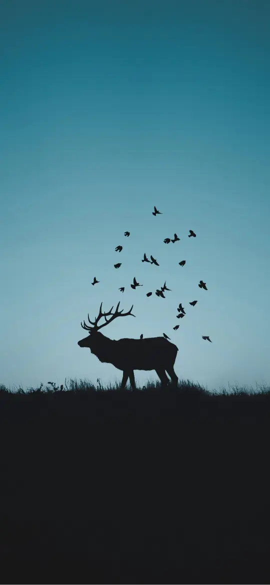 Elk Silhouette with Birds