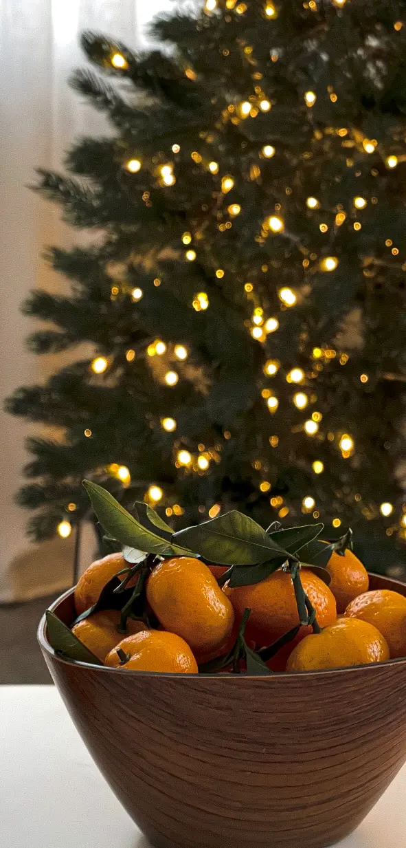 Festive Citrus Still Life