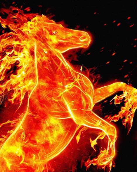 Fiery Horse Illustration