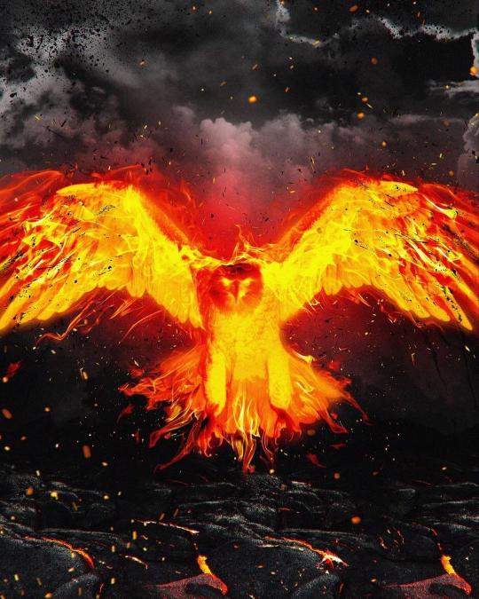 Fiery Phoenix Rising - Related Dope Wallpapers wallpaper
