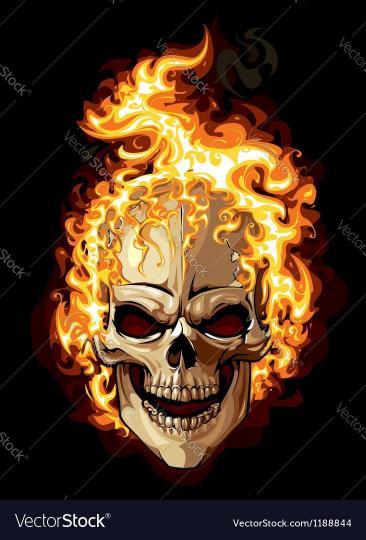 Flaming Skull Illustration
