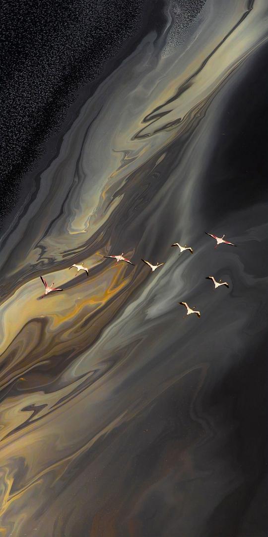 Flamingos in Abstract Sky - Related Dope Wallpapers wallpaper