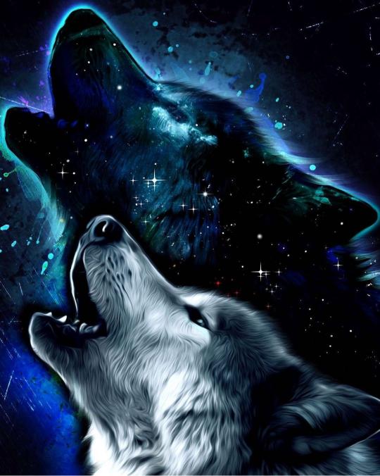 Howling Wolves Galaxy