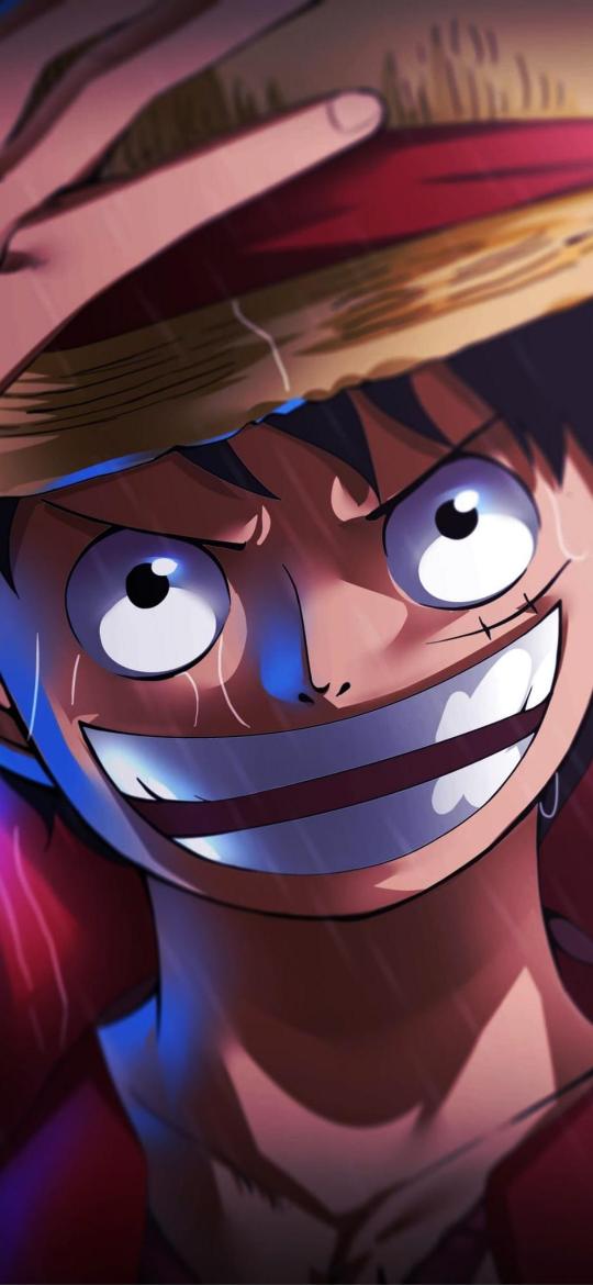 Luffy's Determined Grin