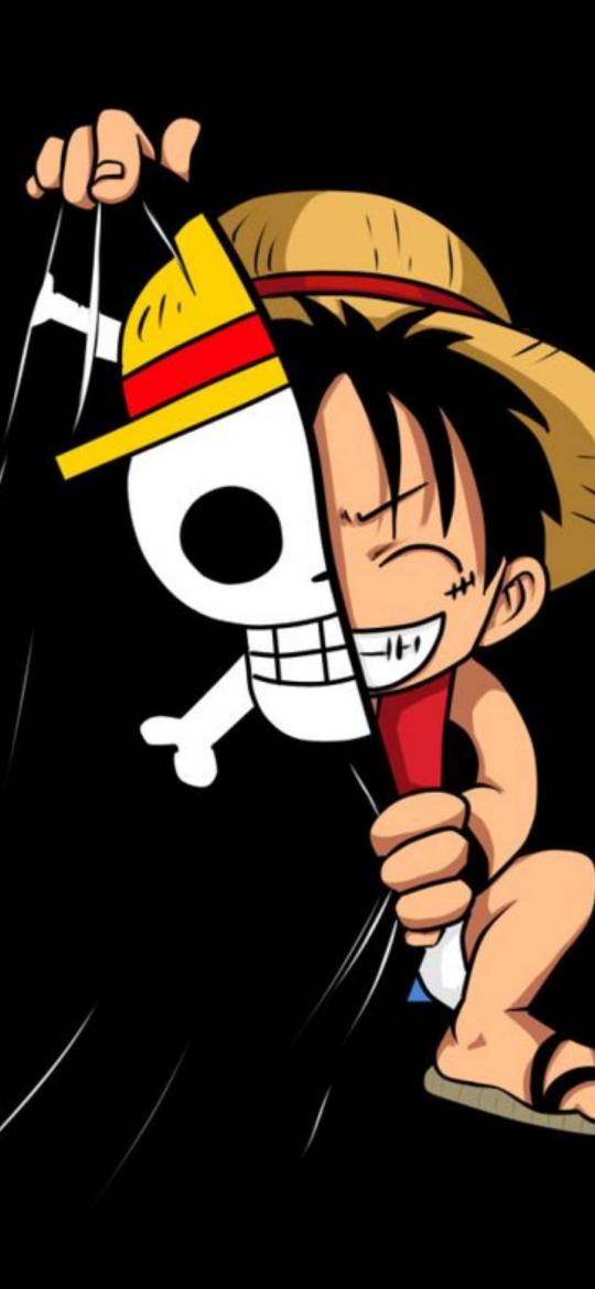 Luffy's Jolly Roger Split