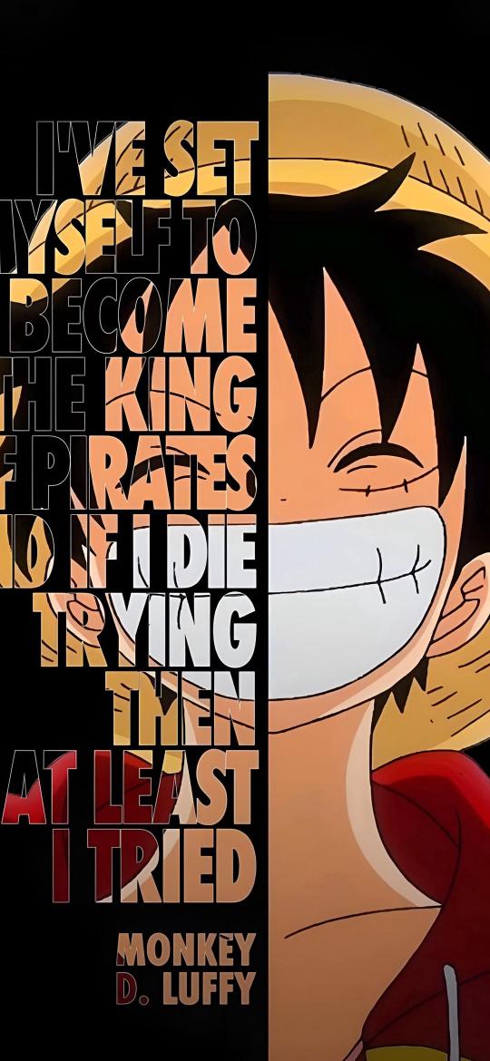 Luffy's Pirate King Ambition