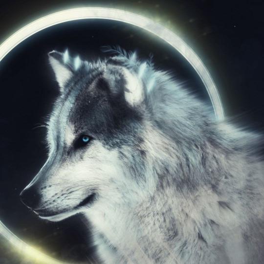 Lunar Wolf Portrait