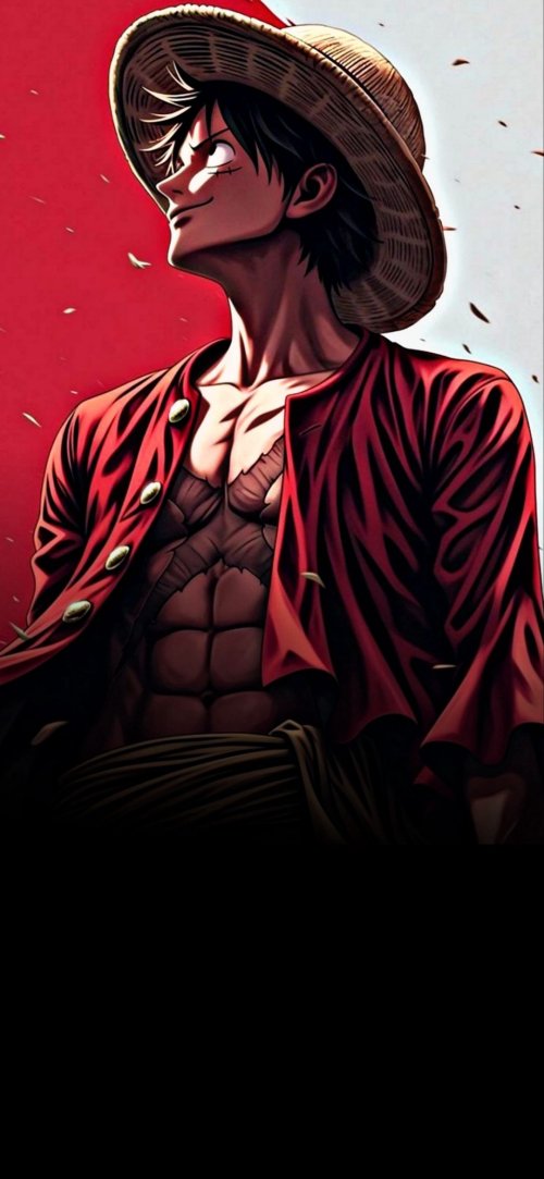 Monkey D. Luffy Anime Art