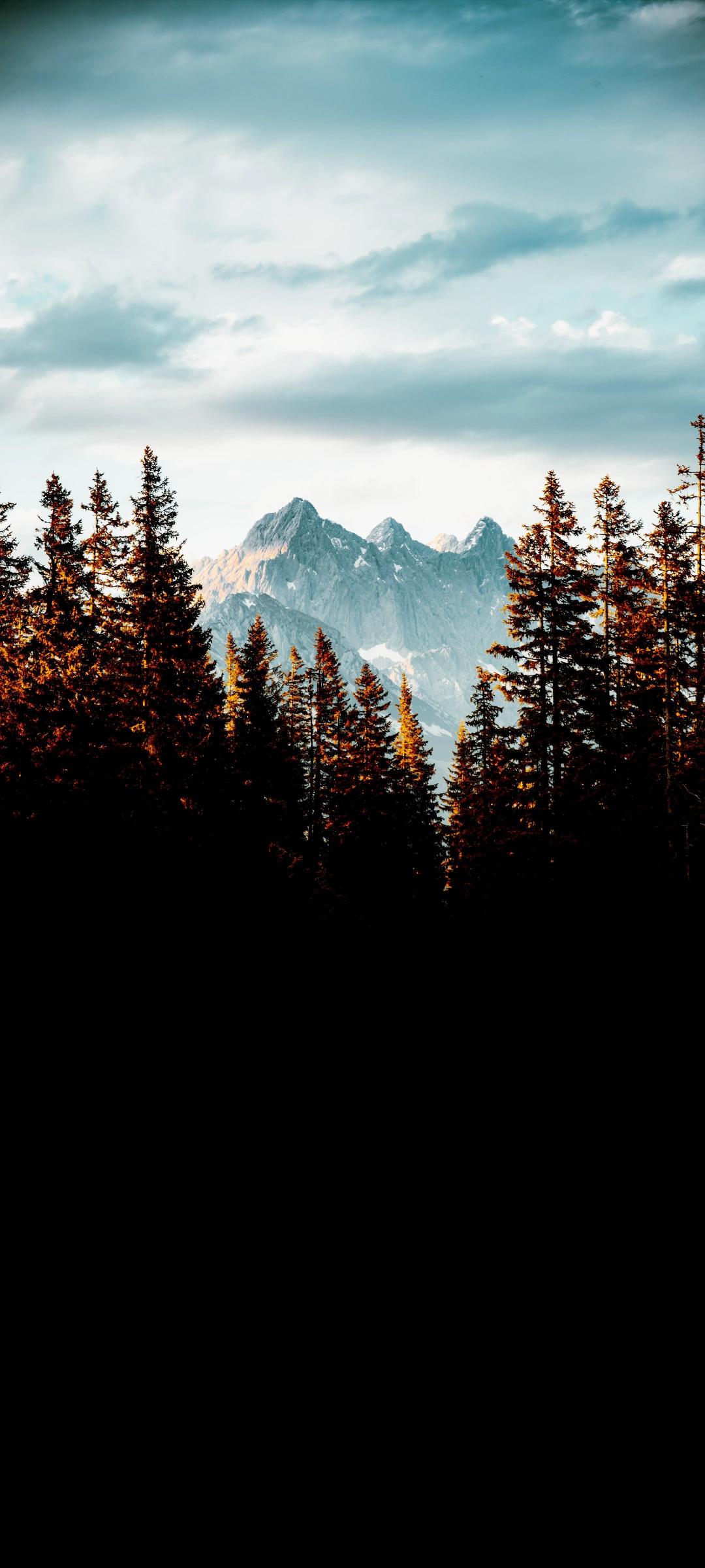 Mountain Peak Through Trees - Related Dope Wallpapers wallpaper