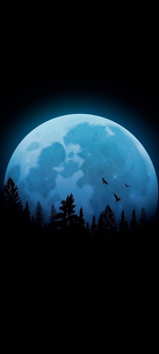 Mystic Blue Moon Forest