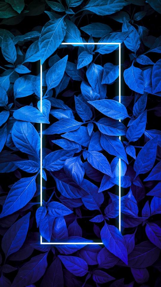 Neon Blue Leaf Frame - Related Dope Wallpapers wallpaper