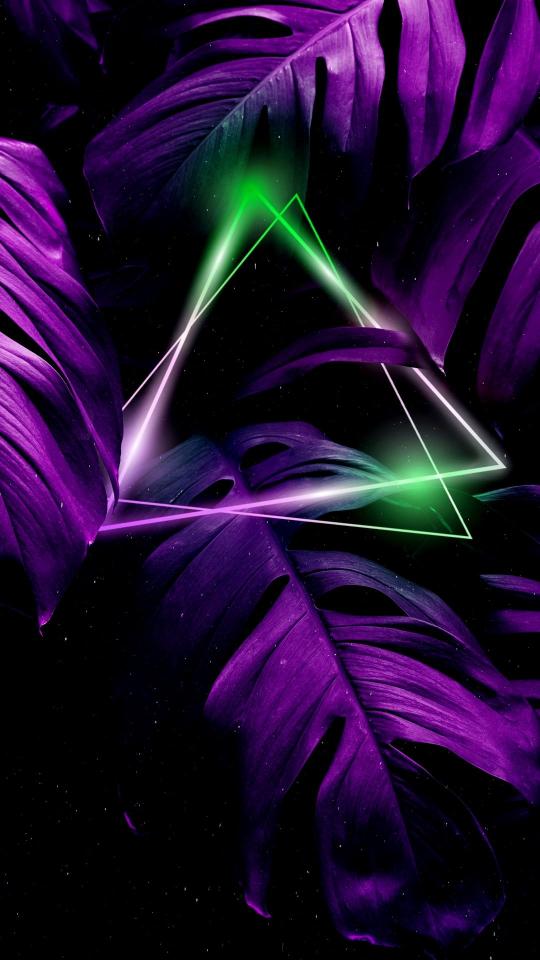 Neon Jungle Triangle