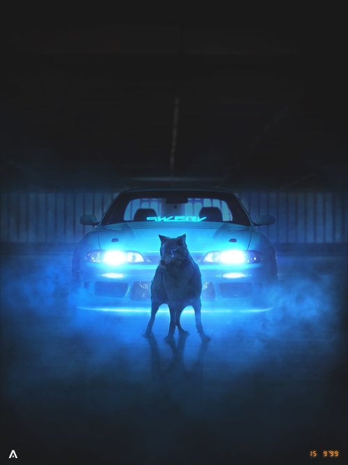 Neon Wolf Car - cars Wallpaper