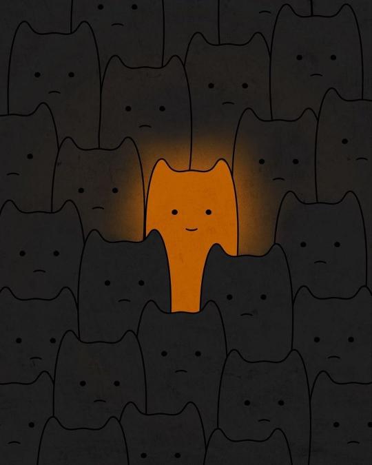 Orange Cat Among Black
