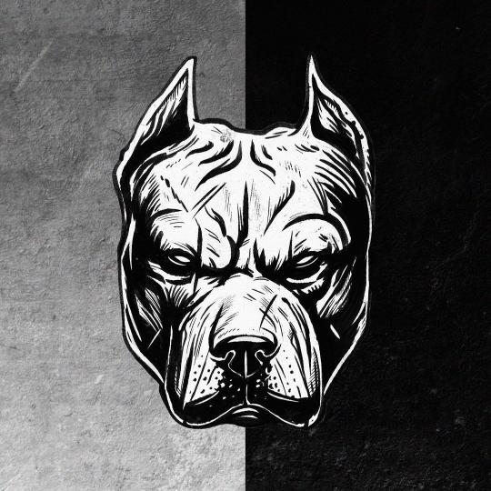 Pitbull Monochrome Illustration
