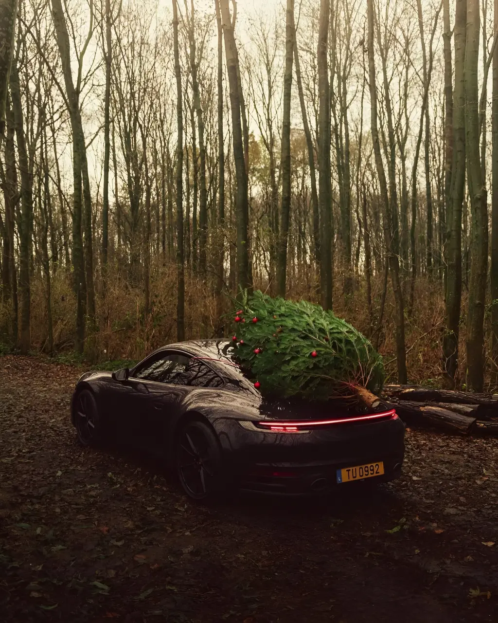 Porsche Christmas Tree Run
