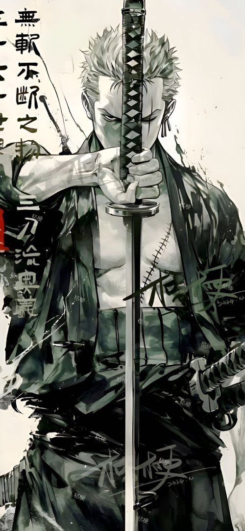 Roronoa Zoro Samurai