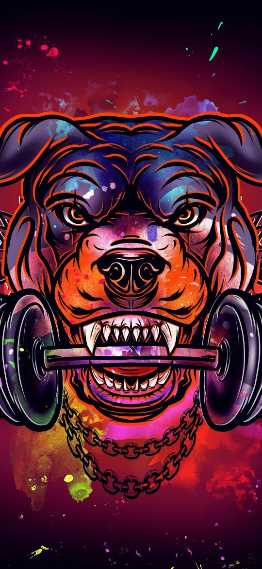Rottweiler Weightlifting Artwork - Dog Wallpaper