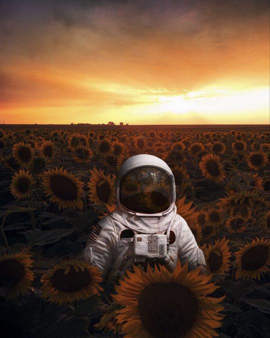 Sunflower Field Astronaut - Related 4K Wallpapers wallpaper
