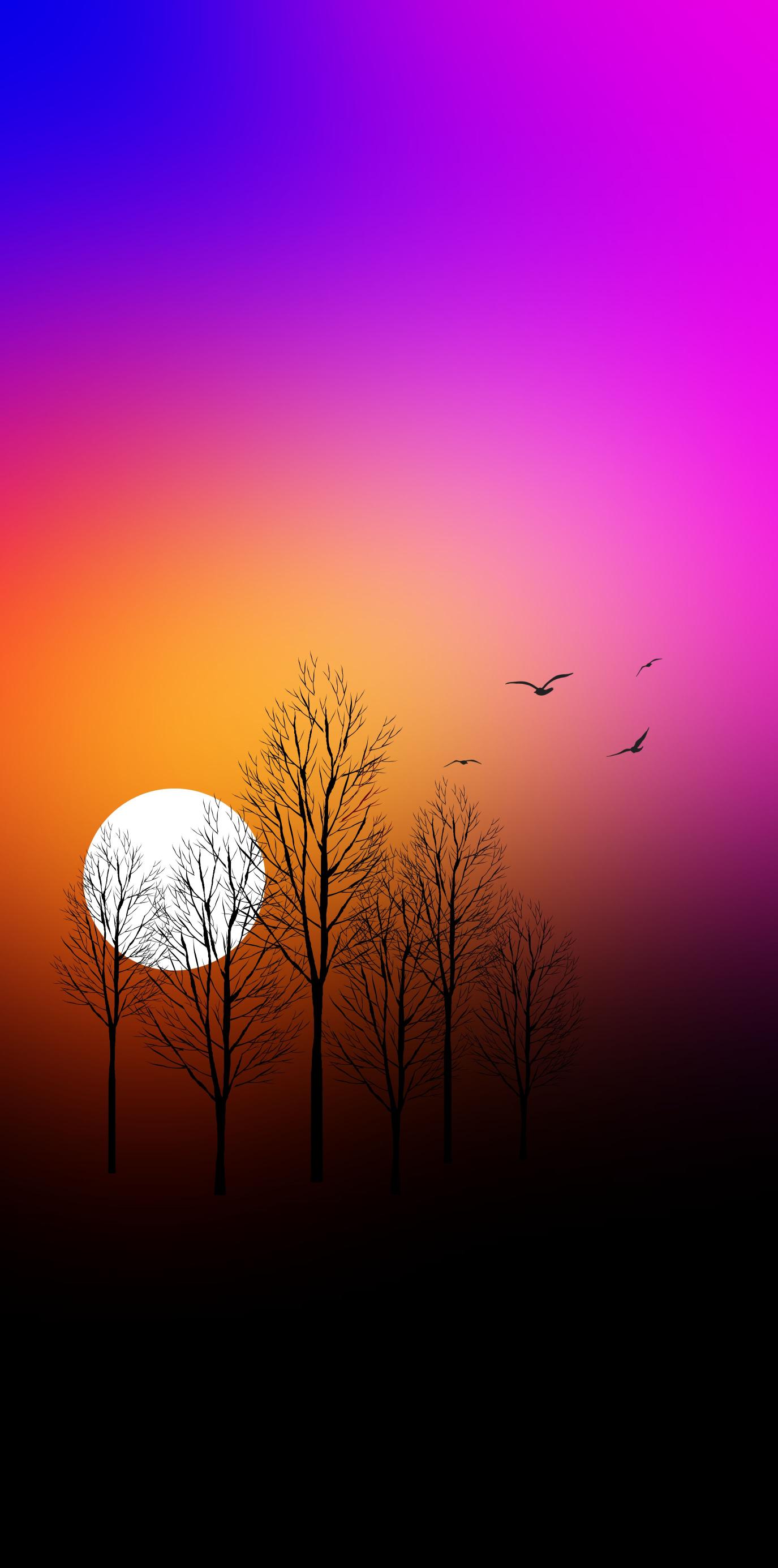 Sunset Silhouette Trees