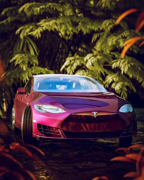 Tesla in Jungle