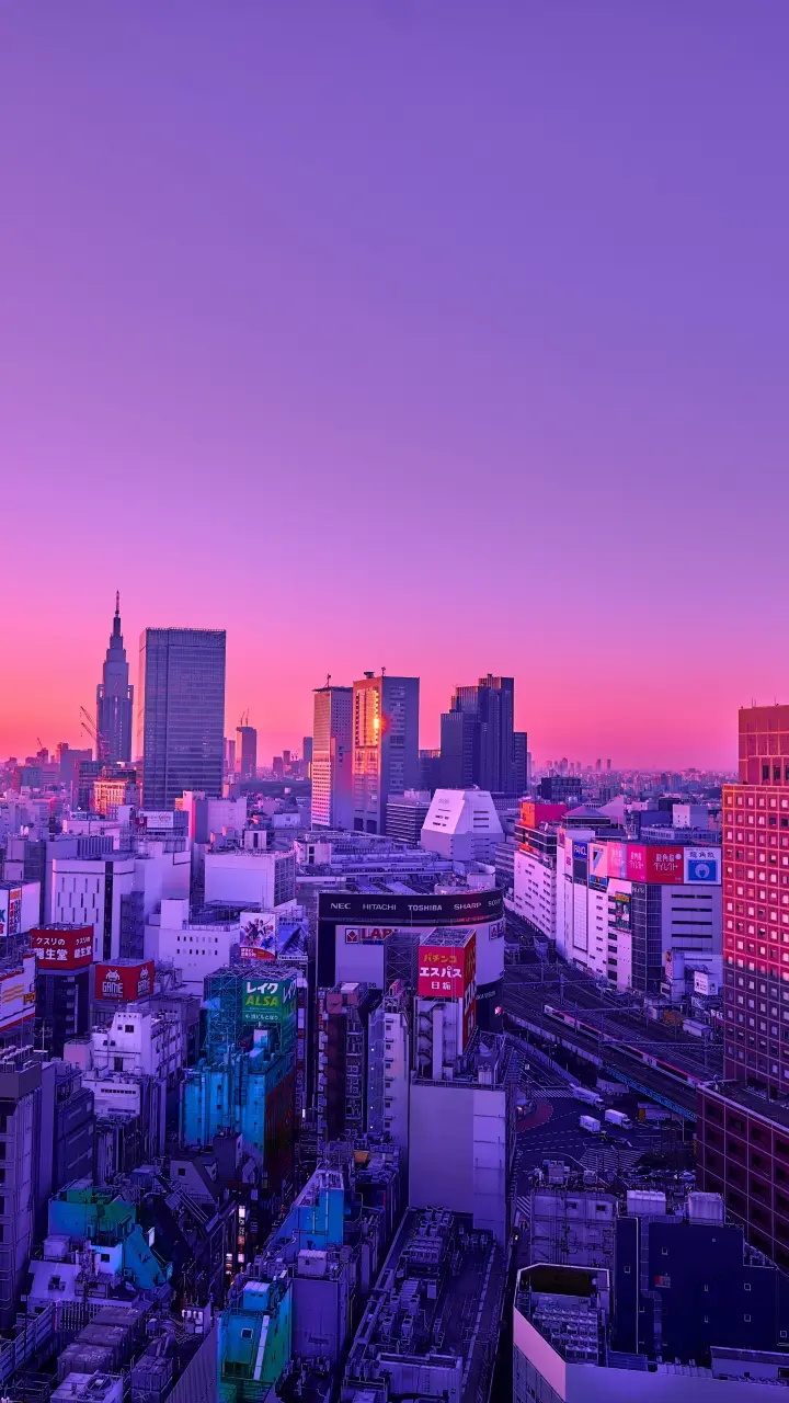 Tokyo Sunset Skyline