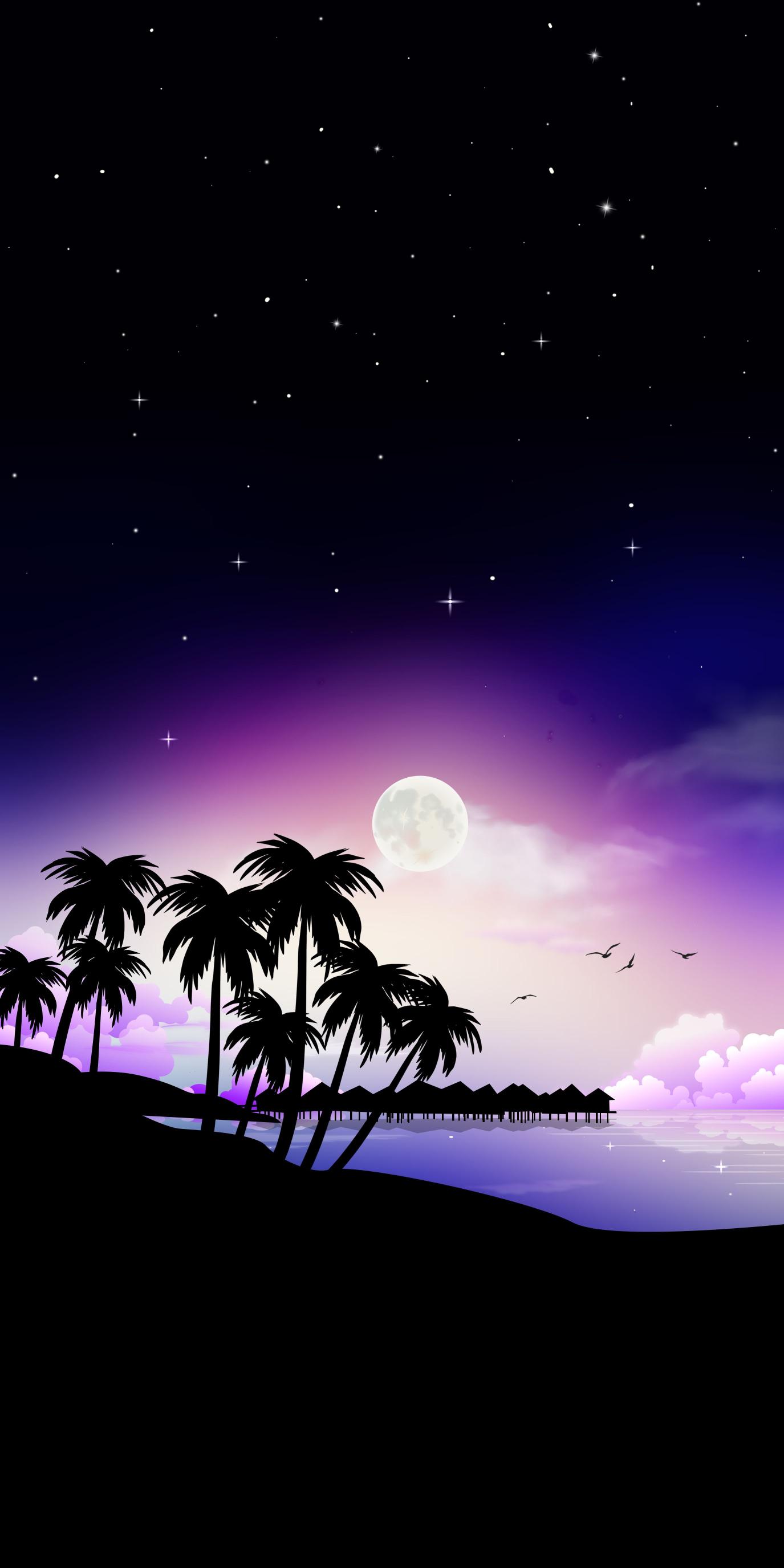 Tropical Night Sky