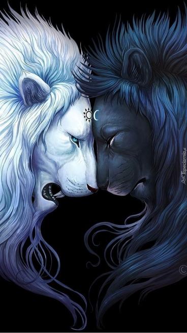 Yin Yang Lions
