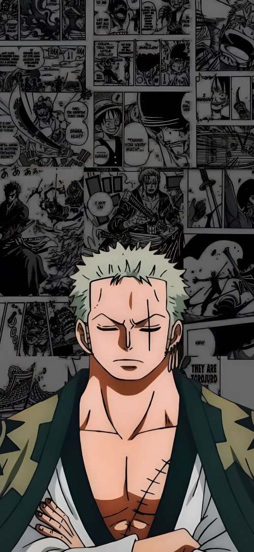 Zoro Manga Collage