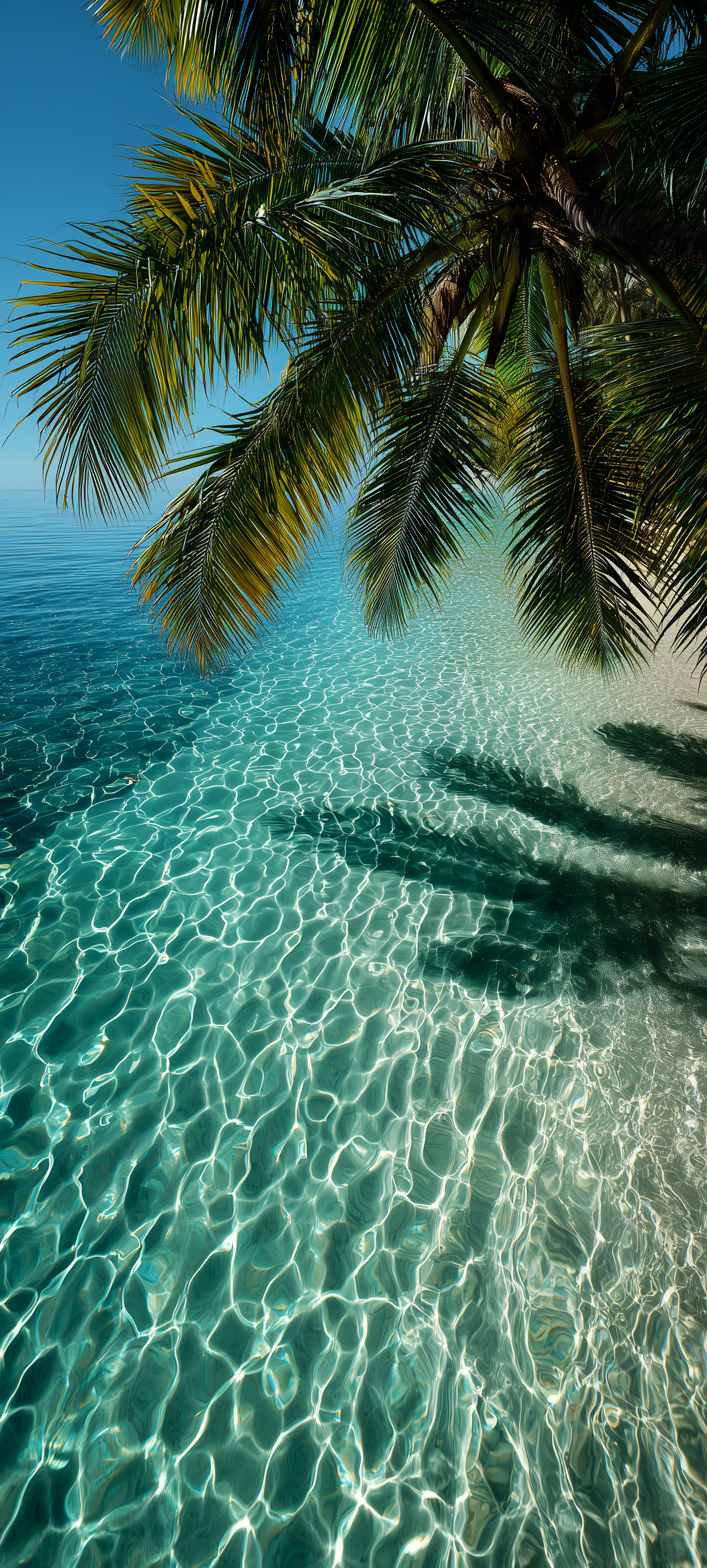 Tropical Beach Palm Paradise - beach wallpaper for Ghetto Wallpapers
