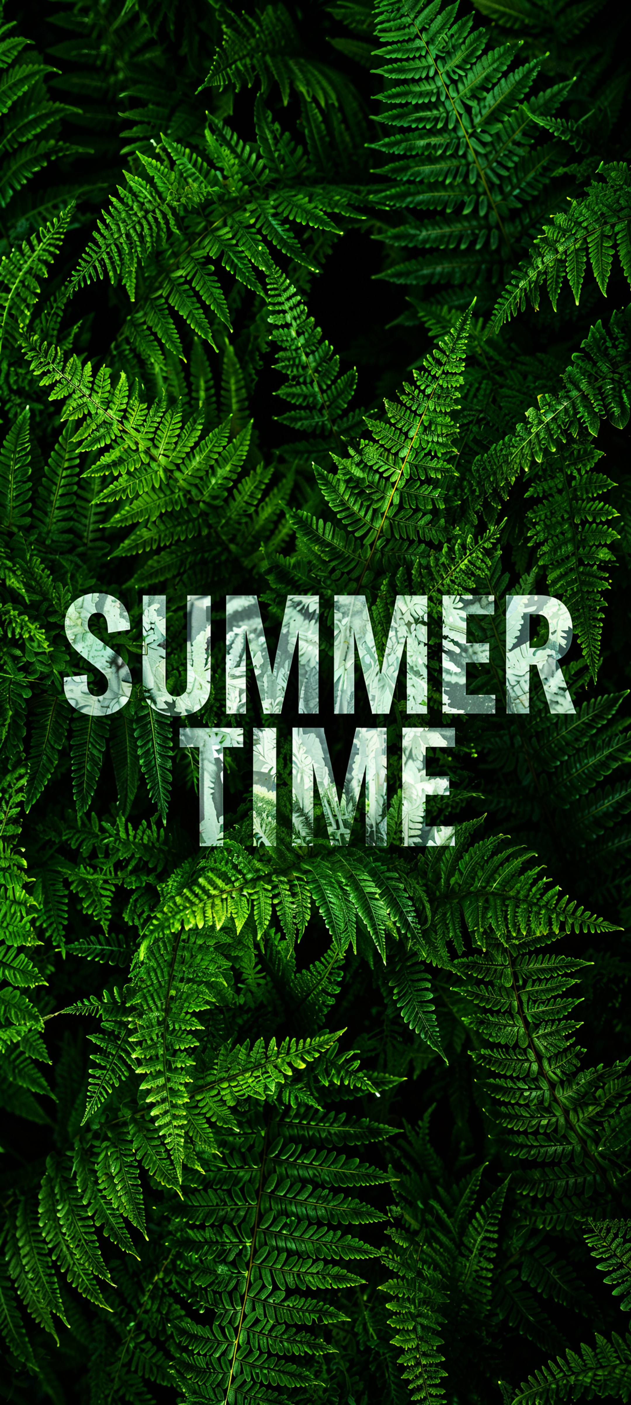 Summer Time Fern Leaves - plant wallpaper for Ghetto Wallpapers